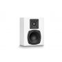 Настенная акустика M&K Sound D85 White Satin/White Cloth